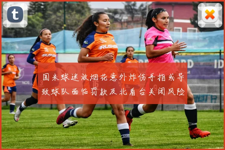 国米球迷放烟花意外炸伤手指或导致球队面临罚款及北看台关闭风险